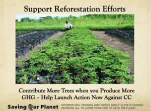 Support Reforestation Efforts